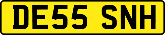 DE55SNH