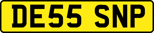 DE55SNP