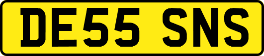 DE55SNS