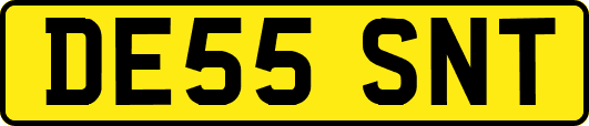DE55SNT