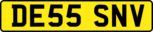 DE55SNV