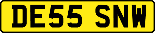 DE55SNW
