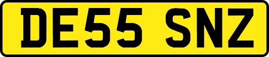 DE55SNZ