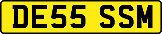 DE55SSM