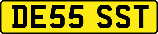 DE55SST