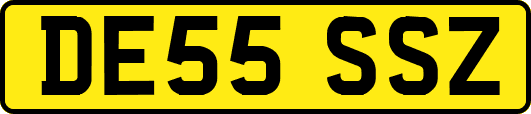 DE55SSZ