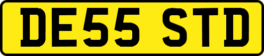DE55STD