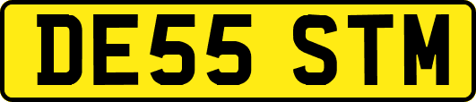 DE55STM