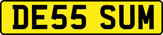 DE55SUM