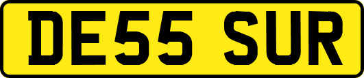 DE55SUR