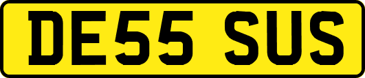 DE55SUS