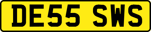 DE55SWS