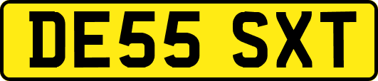 DE55SXT