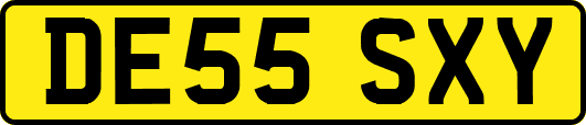 DE55SXY