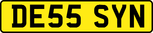 DE55SYN