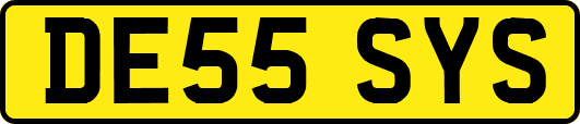 DE55SYS