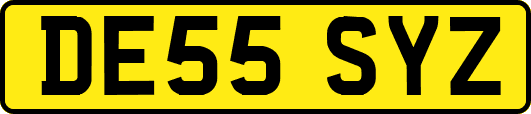 DE55SYZ