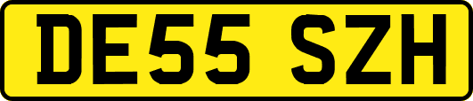 DE55SZH