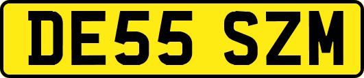 DE55SZM