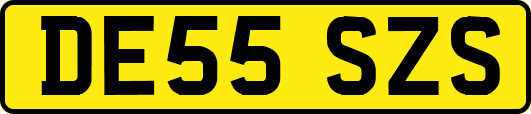 DE55SZS