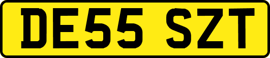 DE55SZT