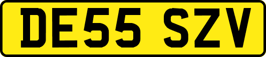 DE55SZV