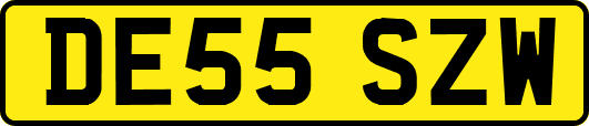 DE55SZW