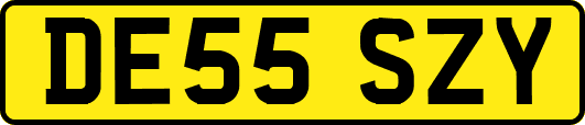 DE55SZY
