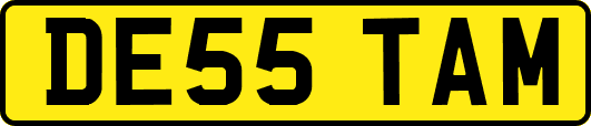 DE55TAM