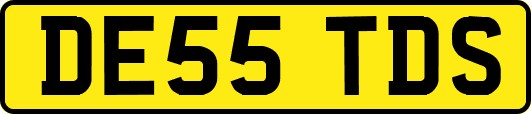DE55TDS