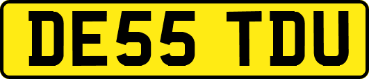 DE55TDU