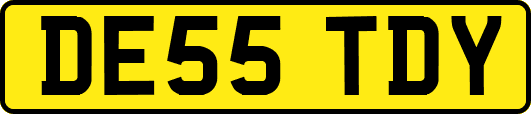 DE55TDY