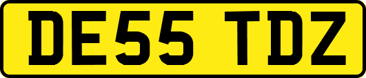 DE55TDZ