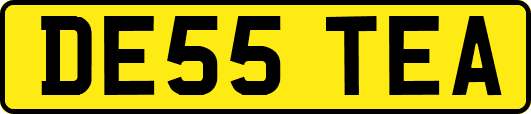 DE55TEA