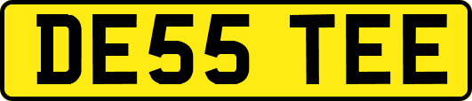 DE55TEE