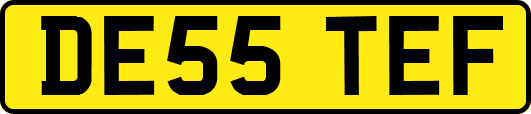 DE55TEF