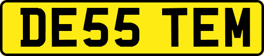 DE55TEM