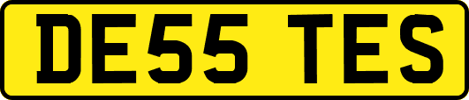 DE55TES