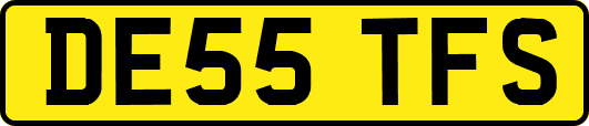 DE55TFS