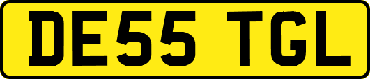DE55TGL