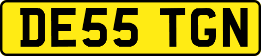 DE55TGN