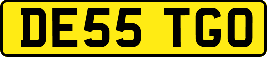 DE55TGO