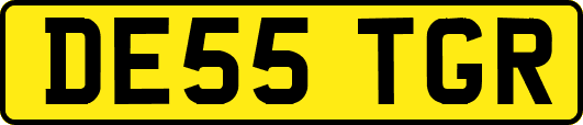DE55TGR