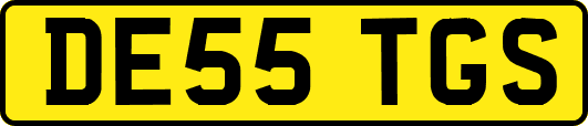 DE55TGS