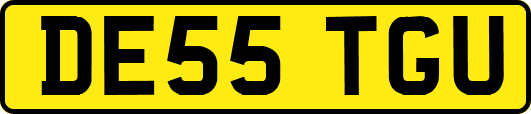DE55TGU