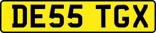 DE55TGX