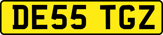 DE55TGZ