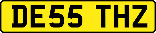 DE55THZ