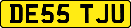 DE55TJU
