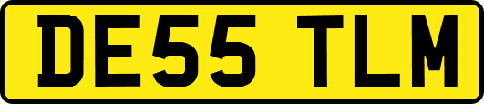DE55TLM